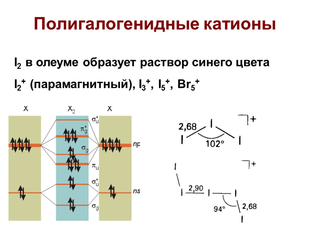 Полигалогенидные катионы I2 в олеуме образует раствор синего цвета I2+ (парамагнитный), I3+, I5+, Br5+